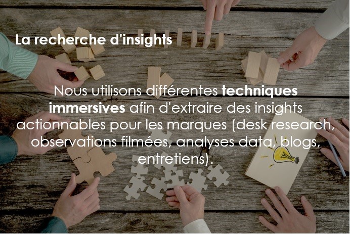 Recherche d'insightzs