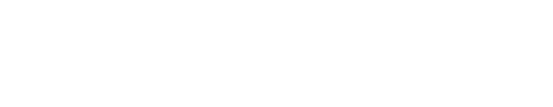 Insightquest
